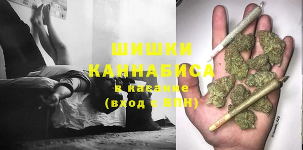 сатива Елабуга