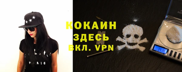 сатива Елабуга