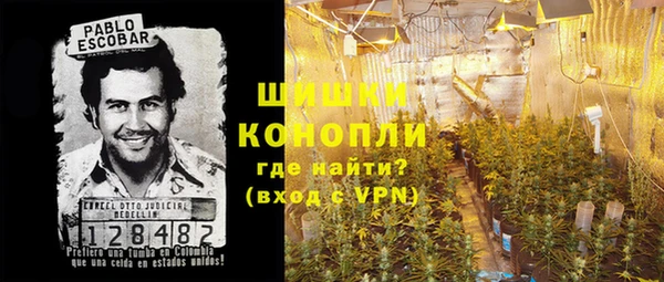 сатива Елабуга
