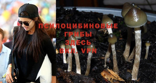 COCAINE Ельня