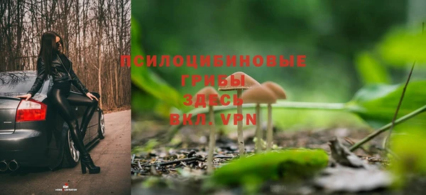 сатива Елабуга