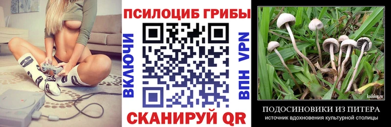 Псилоцибиновые грибы GOLDEN TEACHER  Купить закладки  Холм 