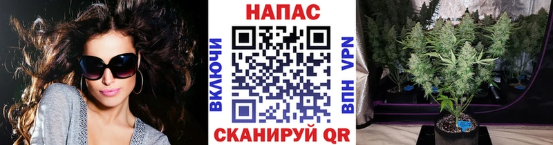 Шишки марихуана OG Kush  Купить закладки  Холм 